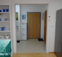 Eingangsflur in einer Einzimmerwohnung mit weißen Regalen und einem Boden in Holzoptik.