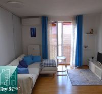 Wohnzimmer in einer Einzimmerwohnung mit Holzboden und kompakten Möbeln.