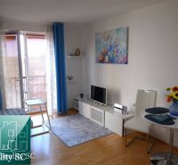 Wohnzimmer in einer Einzimmerwohnung mit Holzboden und blauer Dekoration.