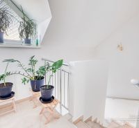Innenraum eines Einfamilienhauses mit Pflanzen auf der Treppe, weißen Wänden und einem Fenster.