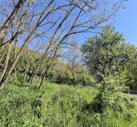 Grünflächen und Bäume in Šiatorská Bukovinka, ideal für Grundstücke - Wohnen.