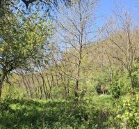 Hügelige Landschaft mit Waldbestand in Šiatorská Bukovinka, Grundstücke - Wohnen.