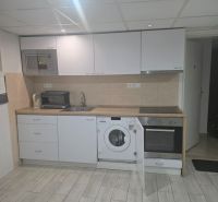 Küche in einer Einzimmerwohnung mit weißer Küchenzeile und Boden in Holzoptik.