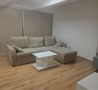 Einzimmerwohnung mit Ecksofa, Tisch und Boden in Holzoptik.