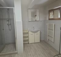 Badezimmer mit Duschkabine, Waschbecken und Boden mit Holzdekor in einer Einzimmerwohnung.