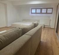 Innenraum einer 1-Zimmer-Wohnung mit Sofa, Bett und Boden in Holzoptik.