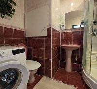 Badezimmer mit Dusche, Waschmaschine und Waschbecken in einer 4-Zimmer-Wohnung.