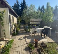 Garten bei der Hütte in der Sekule-Straße in Sekule mit Sitzgelegenheit und Blumenbeet.