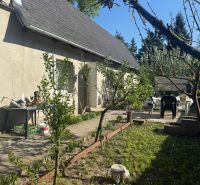 Garten bei der Hütte in Sekule mit Tisch und Stühlen, Rasen und Bäumen.