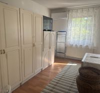 Ein Zimmer mit weißen Schränken, einem Fenster und einem Holzboden in einer Hütte.
