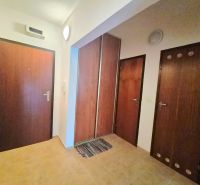 Diele in einer 2-Zimmer-Wohnung mit Holztüren und Fliesenboden.