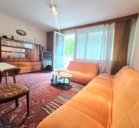 Wohnzimmer in einer 2-Zimmer-Wohnung mit einem orangefarbenen Sofa, einem persischen Teppich und einer Vitrine.