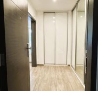 Ein Flur mit einem Spiegelschrank und einem Boden mit Holzdekor in einer 4-Zimmer-Wohnung.