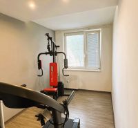 Innenraum einer 4-Zimmer-Wohnung mit Laufband und Kraftstation, Boden mit Holzdekor.