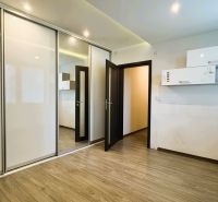 Ein Zimmer mit einem Einbauschrank und einem Boden in Holzoptik in einer 4-Zimmer-Wohnung.