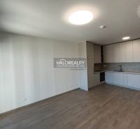 Küche mit Einbaugeräten, Boden mit Holzdekor in einer Einzimmerwohnung.
