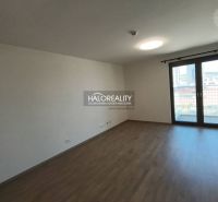 Wohnzimmer mit Küchenzeile und Holzboden in einer Einzimmerwohnung.