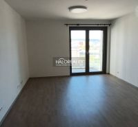 Ein helles Zimmer in einer Einzimmerwohnung mit Holzboden und einem großen Fenster.