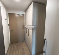 Ein Zimmer mit Holzboden und Balkontüren in einer Einzimmerwohnung.