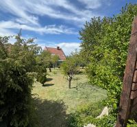 Der Garten mit Bäumen bei der Hütte in der Akazienstraße in Šahy, unter blauem Himmel.