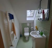 Ein Badezimmer in einem Einfamilienhaus mit Dachfenster und grünen Fliesen.