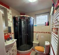 Badezimmer mit einer Eckdusche, Toilette und Blumendekor in einem Einfamilienhaus.