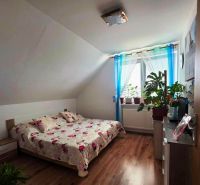 Ein Schlafzimmer in einem Einfamilienhaus mit einem Bett, einem Boden in Holzoptik und Zimmerpflanzen.