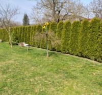 Der Garten des Einfamilienhauses in Klokočov mit gepflegtem Rasen und einer Hecke.