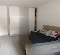 Schlafzimmer in einer 2-Zimmer-Wohnung mit Schiebetürenschrank und Bett, Boden mit Holzdekor.