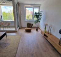 Wohnzimmer in einer 2-Zimmer-Wohnung mit Holzboden und großem Fenster.