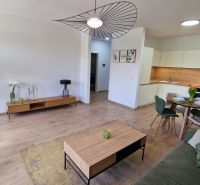 Wohnzimmer mit Küche in einer 2-Zimmer-Wohnung, Boden mit Holzdekor, elegantes Mobiliar.
