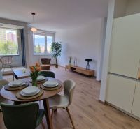 Wohnzimmer mit Küchenzeile in einer 2-Zimmer-Wohnung mit Holzboden.