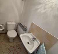 Ein Badezimmer in einem Einfamilienhaus mit Toilette, Waschbecken und Teppichdekor.