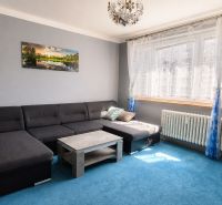 Wohnzimmer in einer 3-Zimmer-Wohnung mit einem dunklen Sofa auf einem blauen Teppich.