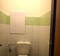 Badezimmer mit grün-weißen Fliesen und Toilette in einer 3-Zimmer-Wohnung.