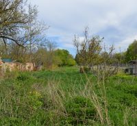 Der Garten eines Einfamilienhauses in Horné Saliby mit Rasen, Bäumen und einem alten Ziegelzaun.