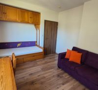 Ferienwohnung mit Sofa, Bett, Schrank und Boden in Holzoptik.
