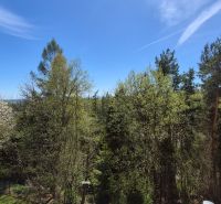 Ein Wald mit Blick auf die Baumwipfel und den blauen Himmel in Stará Lesná.
