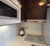 Die Küche einer Ferienwohnung mit Mikrowelle, Kochfeld und Wasserkocher.
