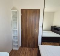 Ferienwohnung mit Bett, Kleiderschrank und Boden in Holzoptik.