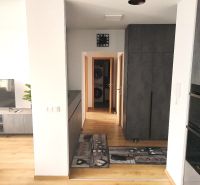 Innenraum einer 2-Zimmer-Wohnung mit Holzboden, Fernseher und Stauraum.