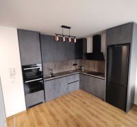Küche mit dunkelgrauer Küchenzeile und Holzboden in einer Zweizimmerwohnung.
