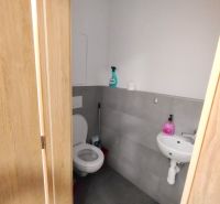 Toilette mit Waschbecken in einer 2-Zimmer-Wohnung, helle Wände und Türen mit Holzdekor.