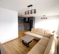 2-Zimmer-Wohnung mit Holzboden, heller Couch und Kochnische.