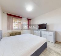 Schlafzimmer in einer 2-Zimmer-Wohnung mit Bett, Fernseher und Holzboden.