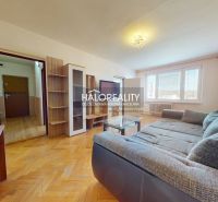 Wohnzimmer mit Holzboden, Sofa und Möbeln in einer 2-Zimmer-Wohnung.