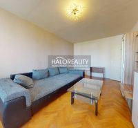 Wohnzimmer in einer 2-Zimmer-Wohnung mit einem Sofa und einem Boden in Holzoptik.