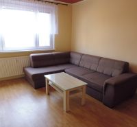 Helles Wohnzimmer in einer 2-Zimmer-Wohnung mit Sofa und Tisch auf einem Boden mit Holzdekor.
