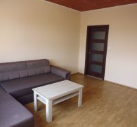Helles Wohnzimmer mit Sofa und Couchtisch, Holzboden.