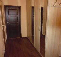 Flur mit Holzboden und Schrank in einer 2-Zimmer-Wohnung.